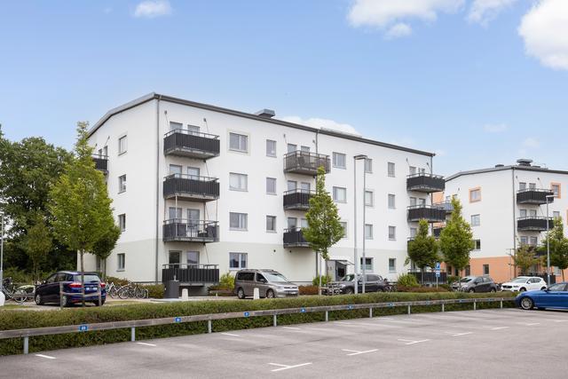 Trevliga grannar i välbyggda hus