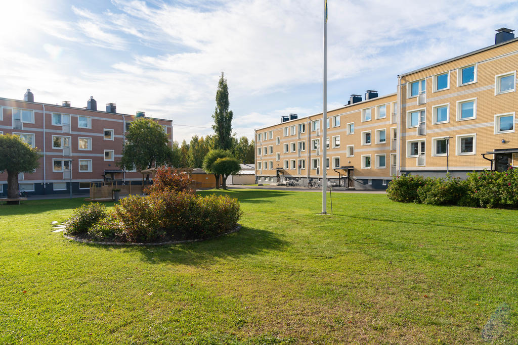 Föreningens innergård