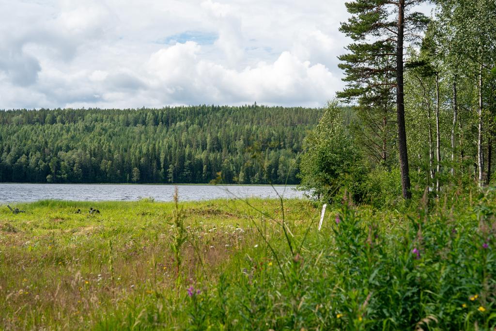 Falkträsket