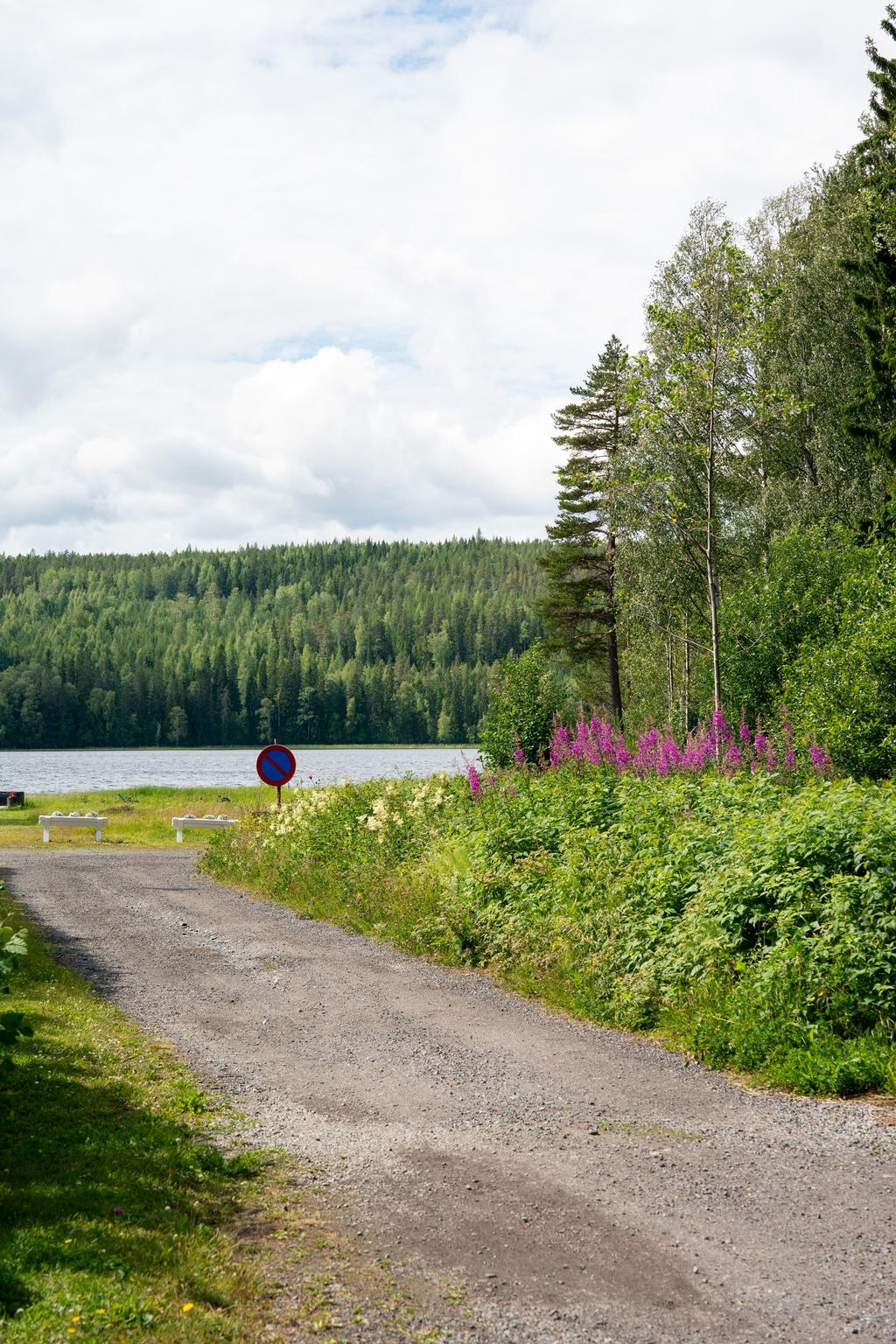 Gångväg mot sjön