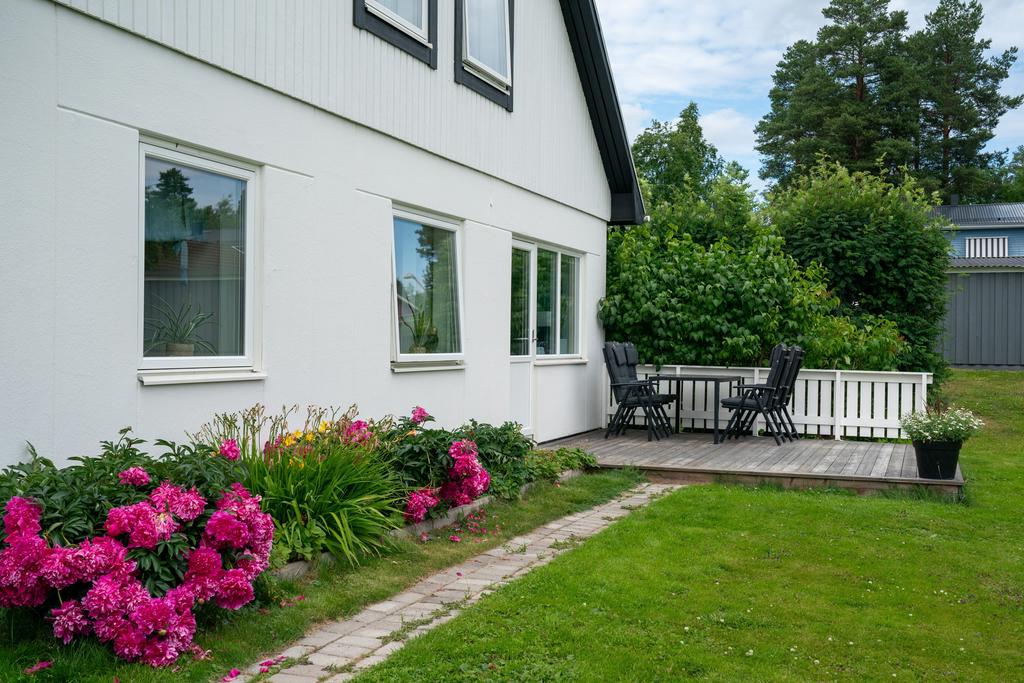 Vackra buskar intill huset och uppvuxen trädgårdstomt. 
