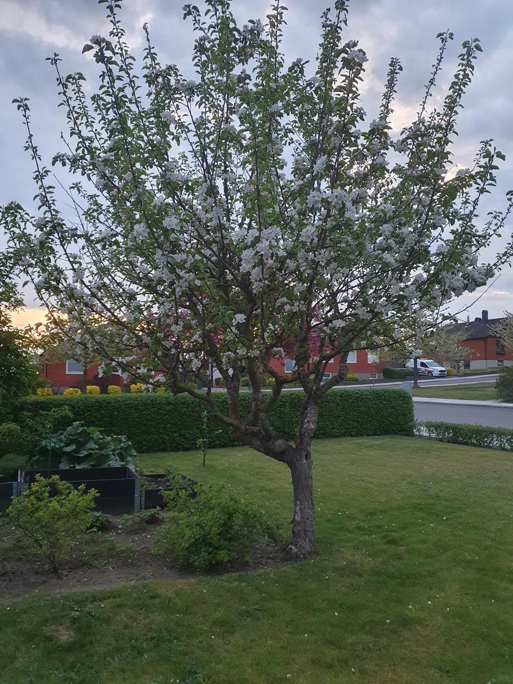 Säljarens bild