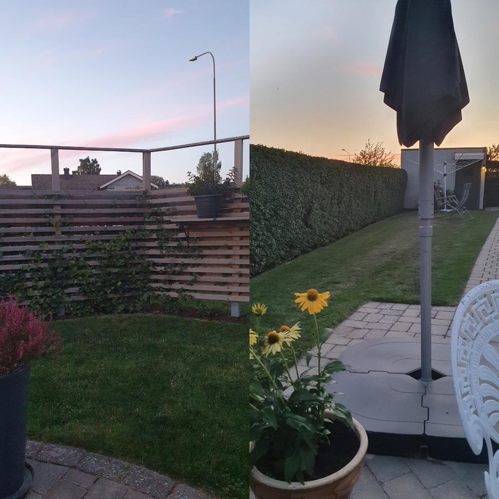 Säljarens bild