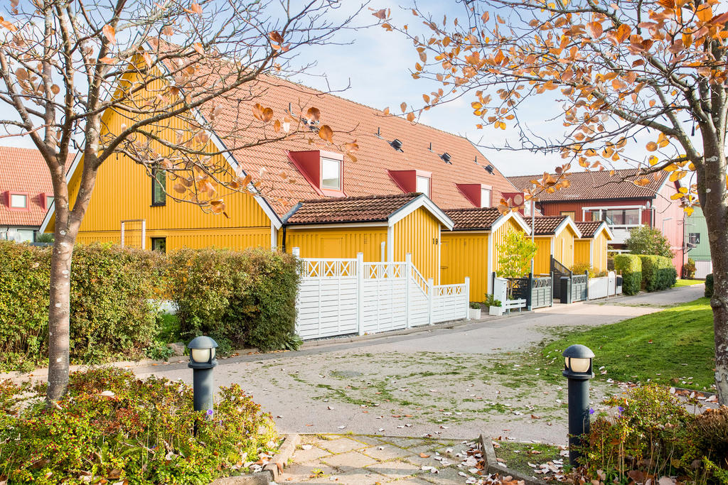 Områdesbild under hösten!