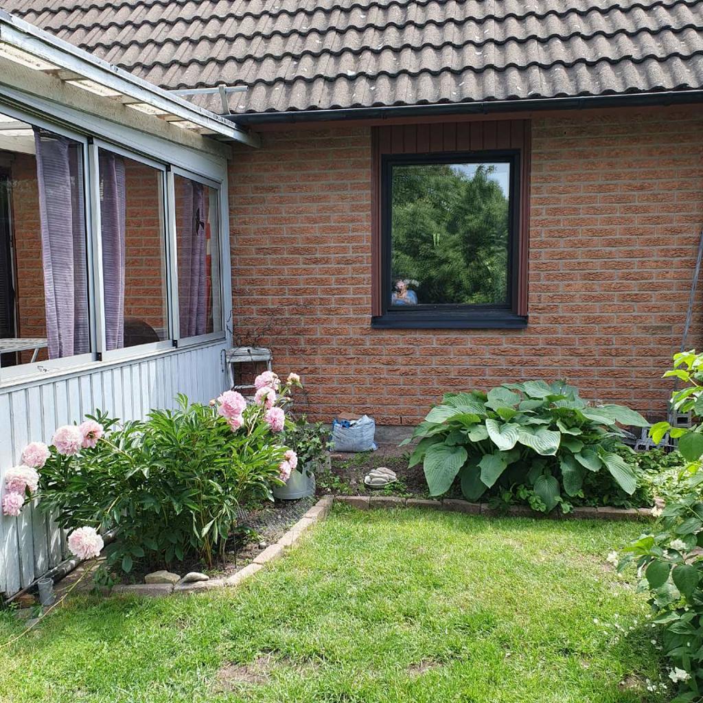 Blomstrande trädgård