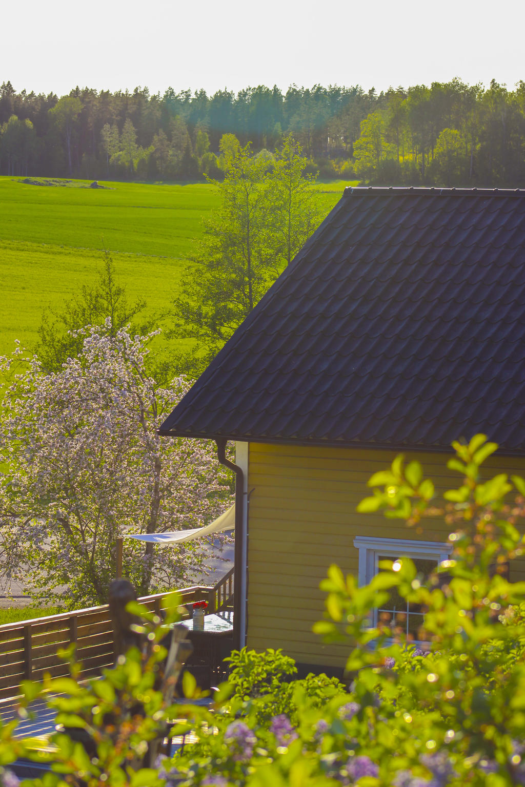 Vy från uteplatserna på berget