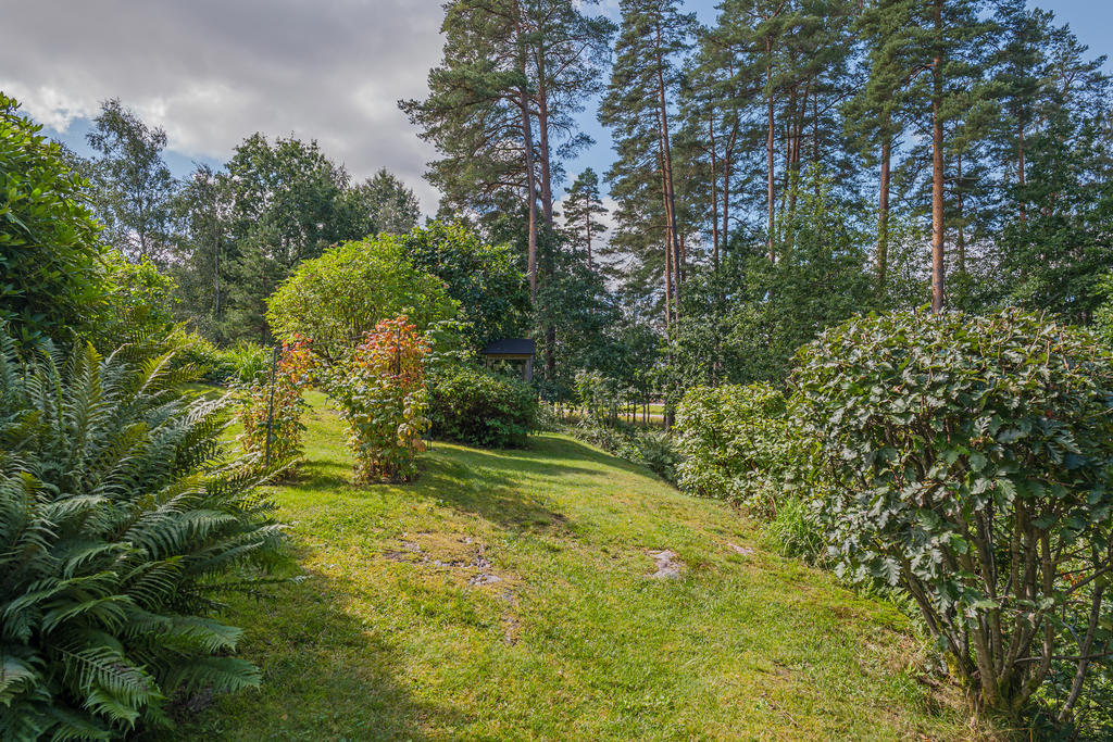 Nedre delen av tomten