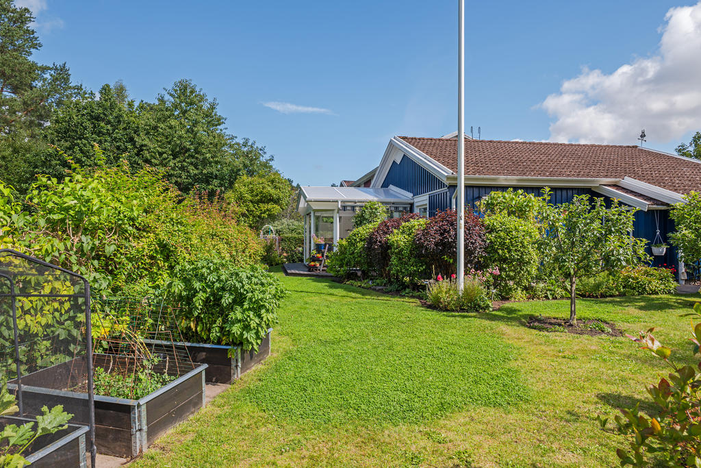 Baksidan med pallkragar