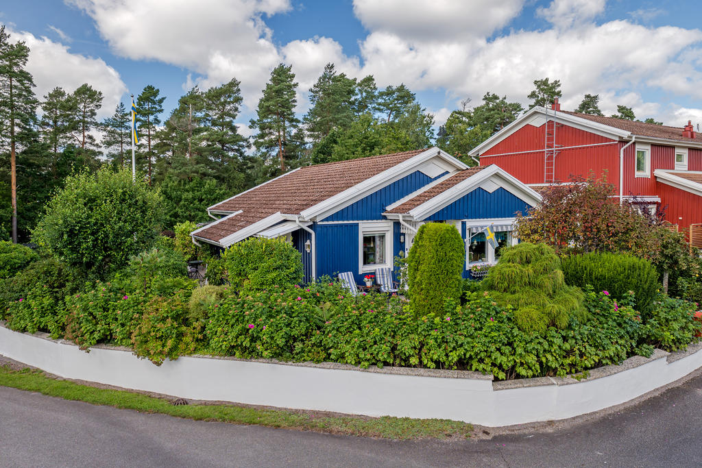 Vackra muren med rosenhäck