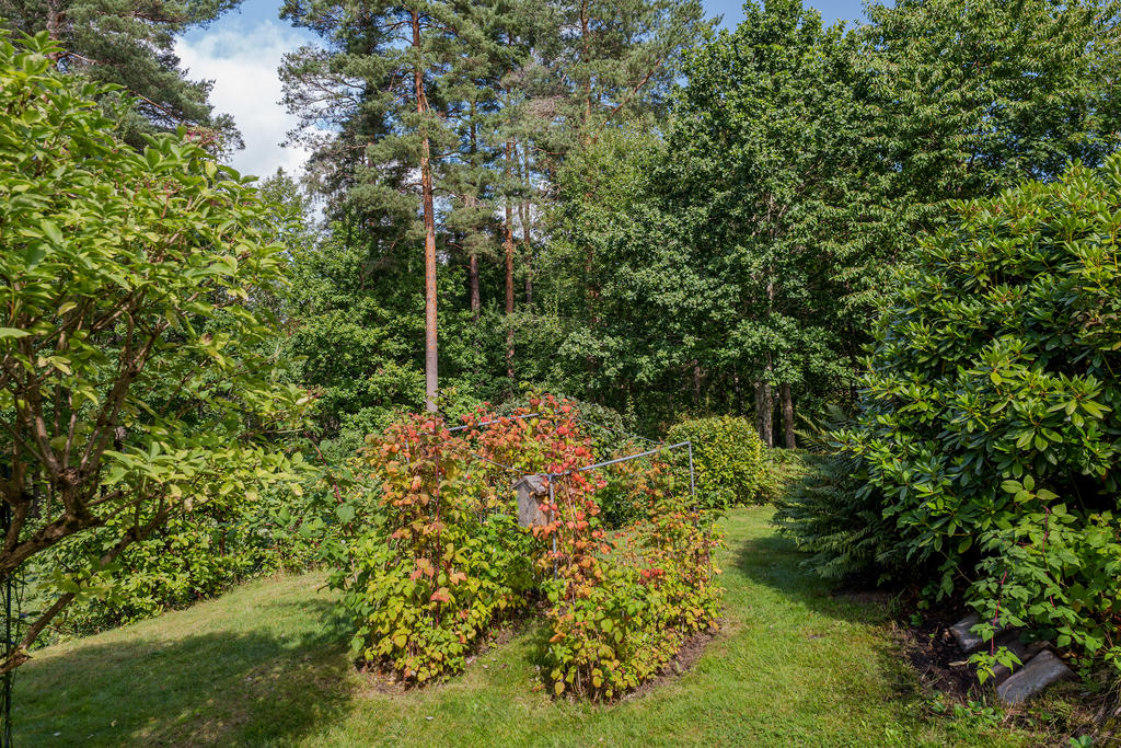 Nedre delen av tomten