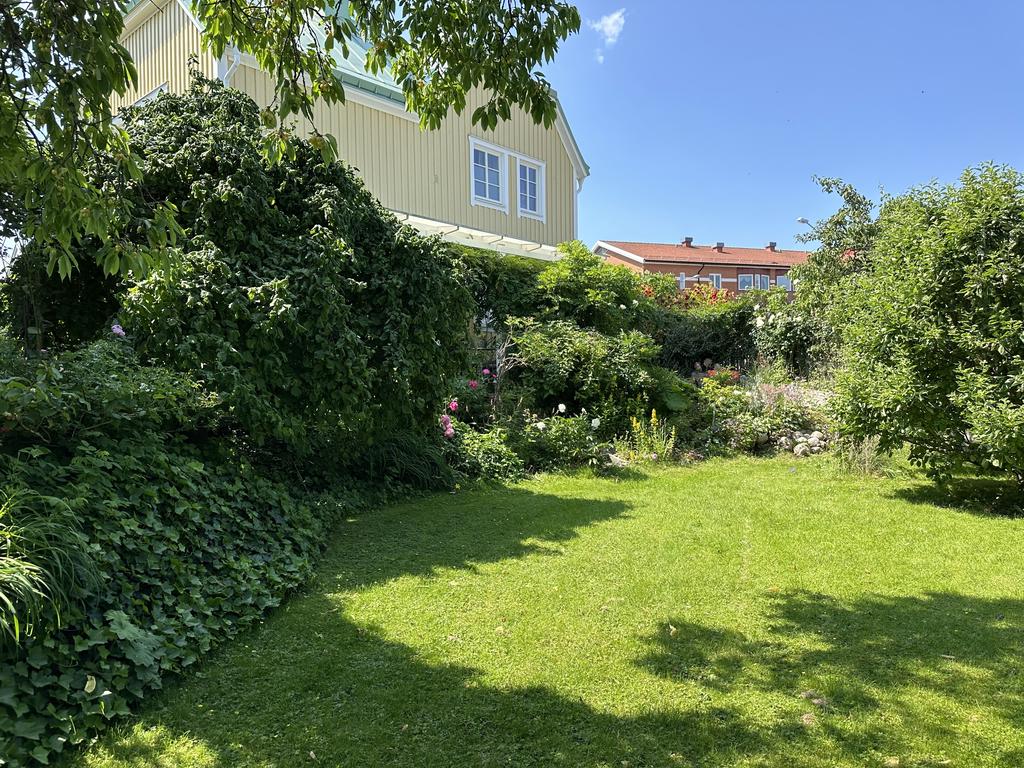 Lummig trädggård