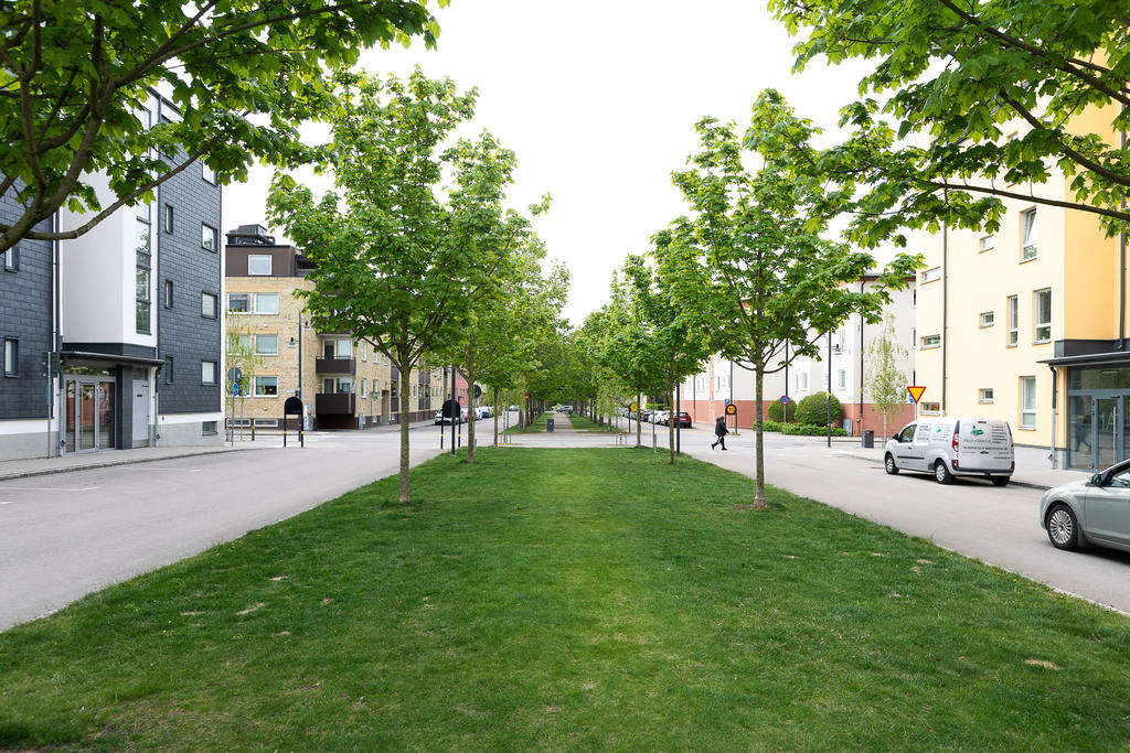 Välkommen till trevliga Söder 