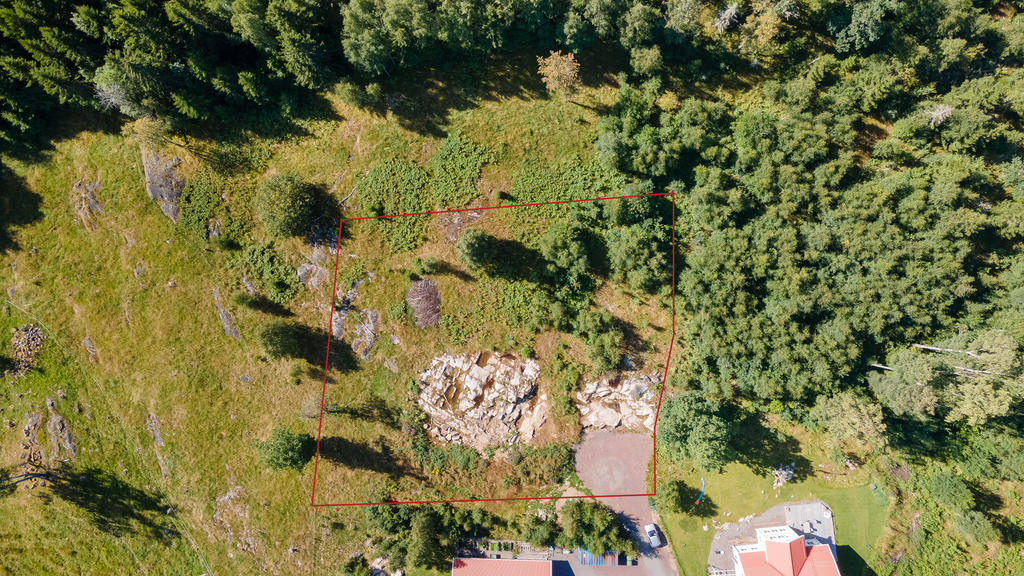 Observera att linjen för tomtgränsen i detta foto inte är exakt