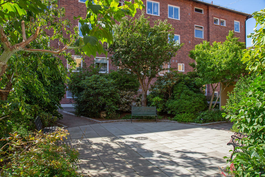 Grönskande innergård