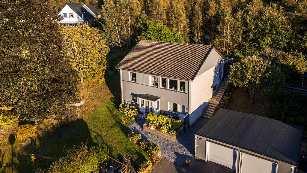 Skogen som närmaste granne
