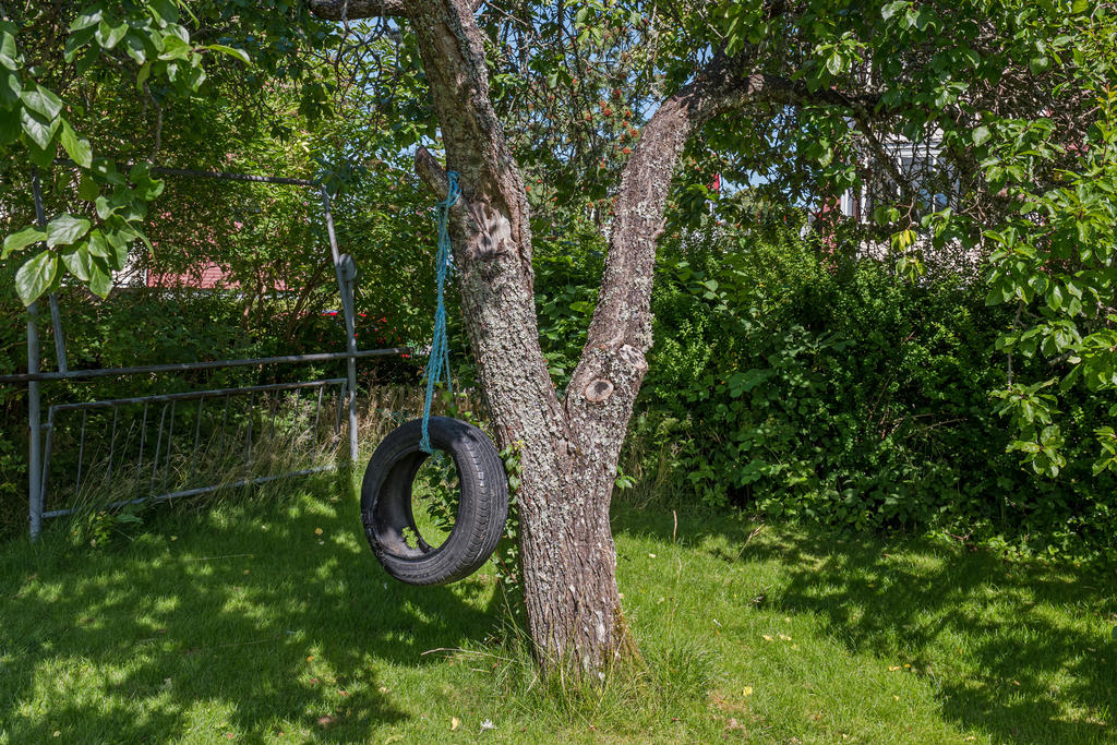 Trädgården