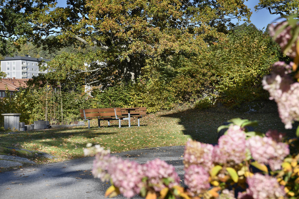 Välskött innergård 