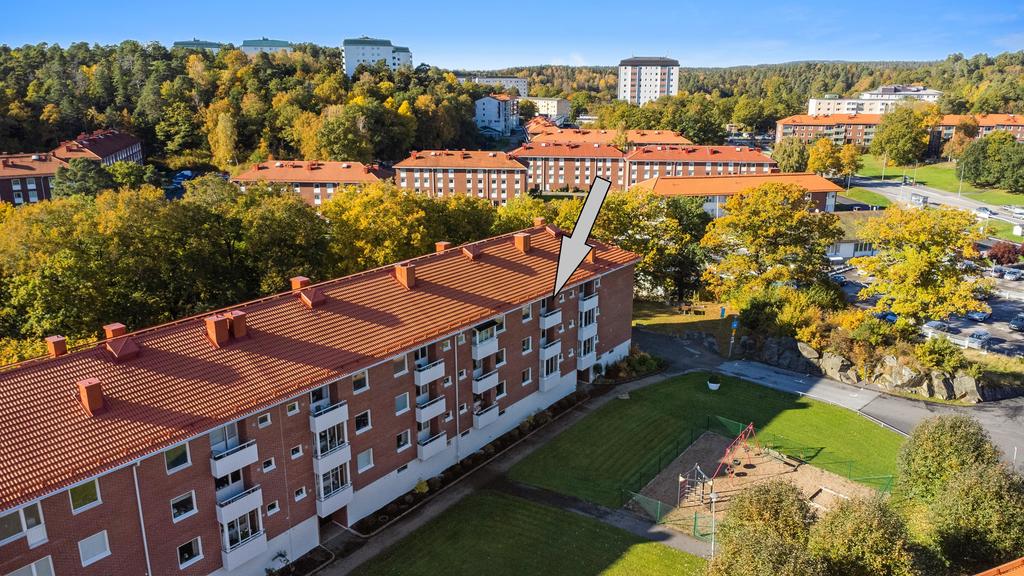 Områdesbild  - välskött förening 