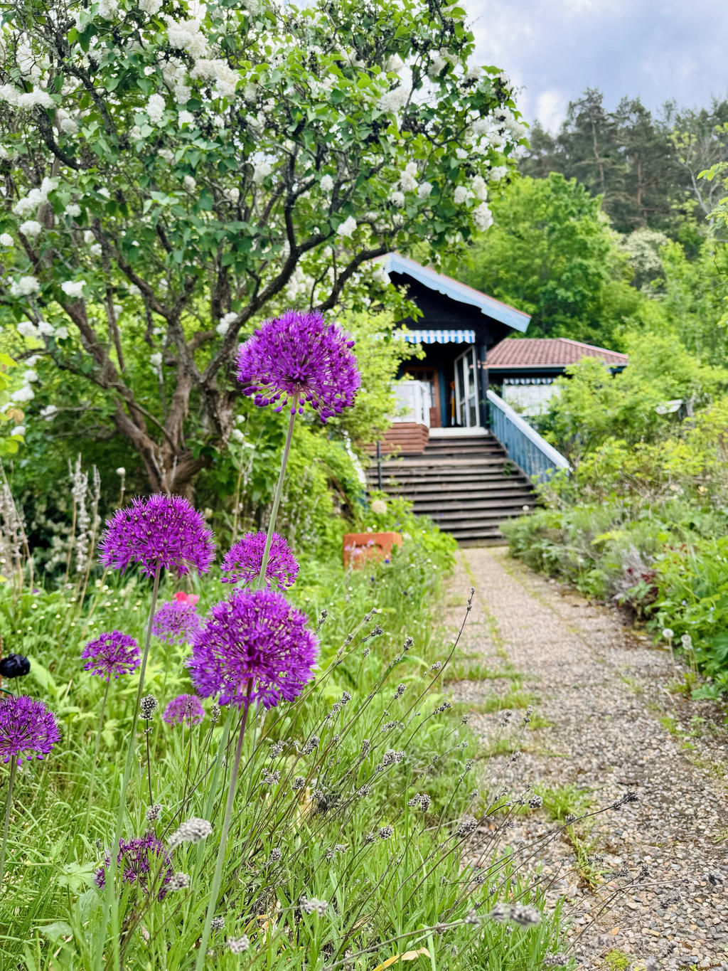 Säljarens bild 