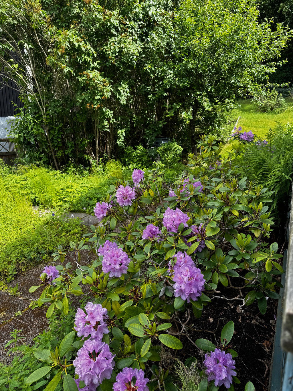 Säljarens bild 