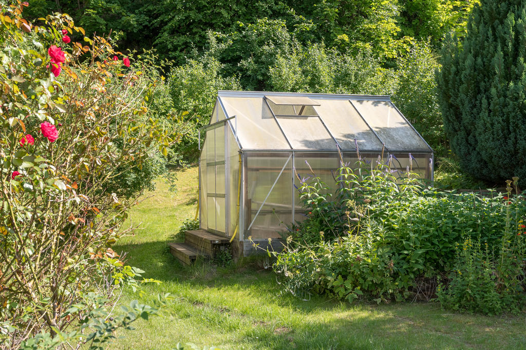 Fantastisk växtzon som bland annat bjuder på aprikosträd