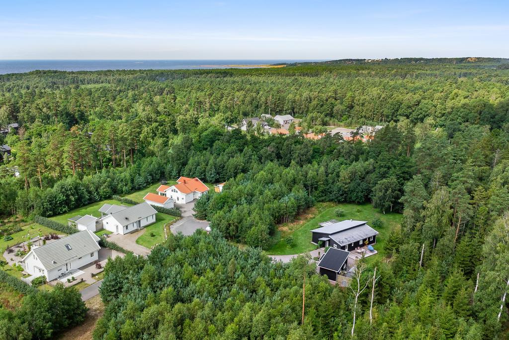 I Långasand har du tillgång till både stillhet och aktivitet – bada vid den natursköna stranden, vandra i skogen, paddla i Suseån eller plocka svamp under sensommaren.