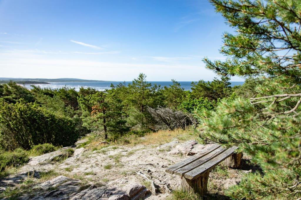 Vesslunda naturreservat är ett fint utflyktsmål. Foto: Destination Falkenberg
