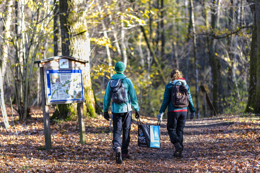 Ta en tur i naturreservatet och följ Gotaleden