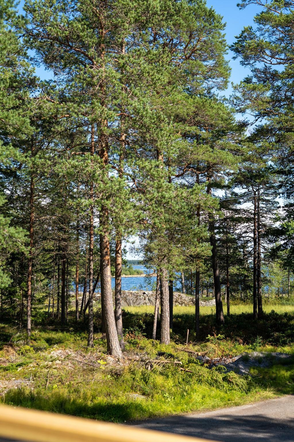 Utsikt mot havet från tomten