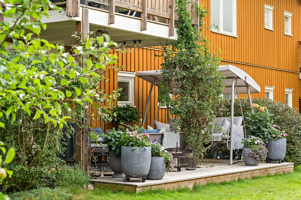 Uppvuxen och grönskande uteplats