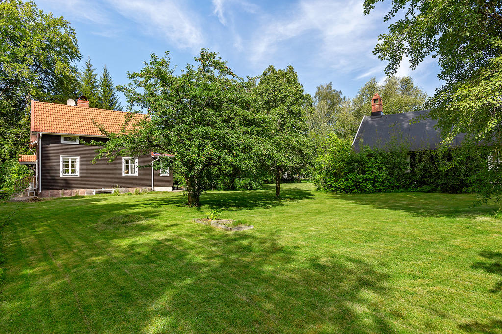 Stora härliga ytor