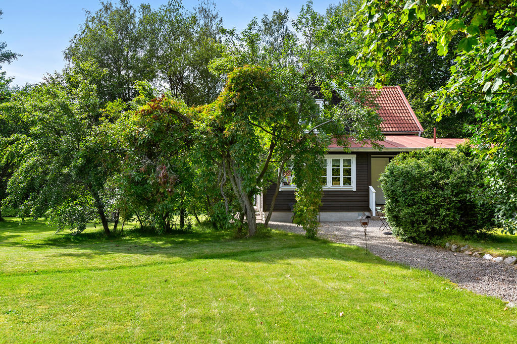 Grönskande stor trädgård 