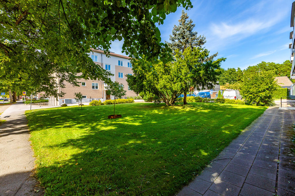 Grönskande innergårdar i föreningen