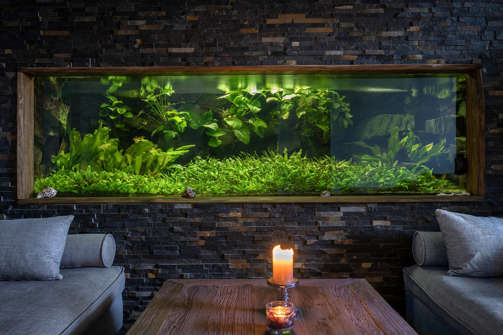 Kan nog vara Uddevallas största akvarium på 3 000 liter 