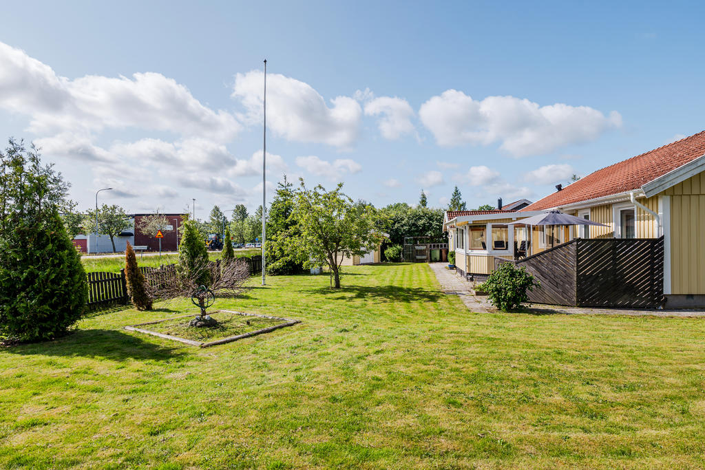 Trädgården