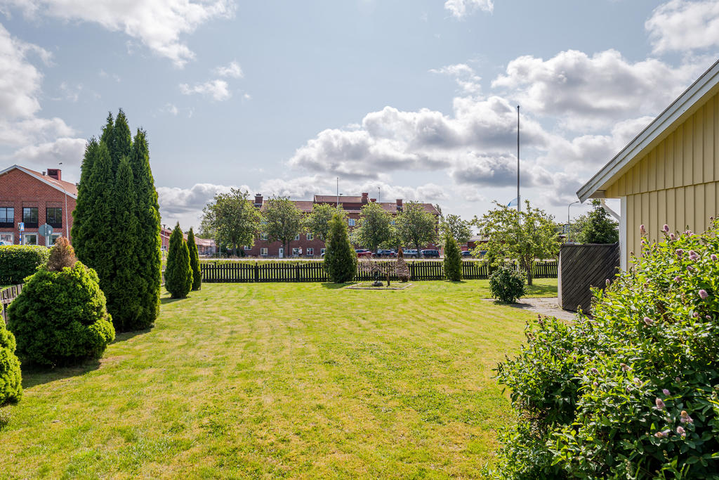 Trädgården