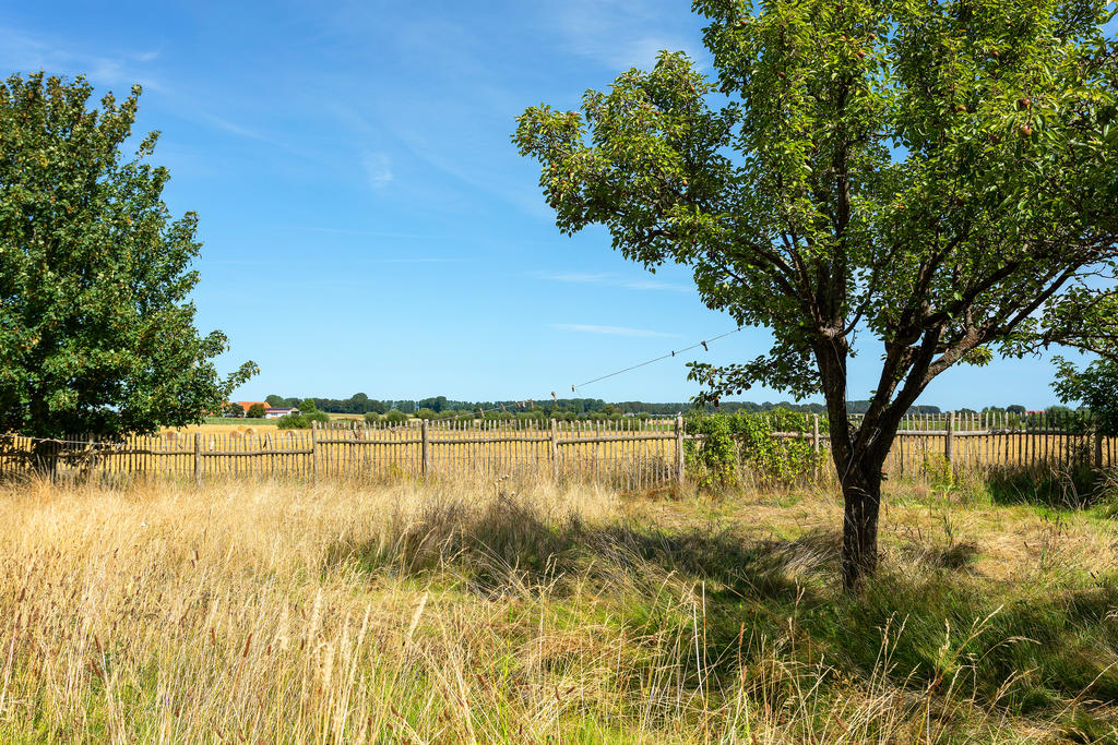 En vy mot det fria när man sitter på trädgården och dricker sitt kaffe