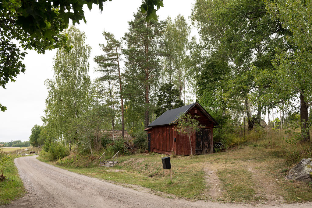 Uthus.