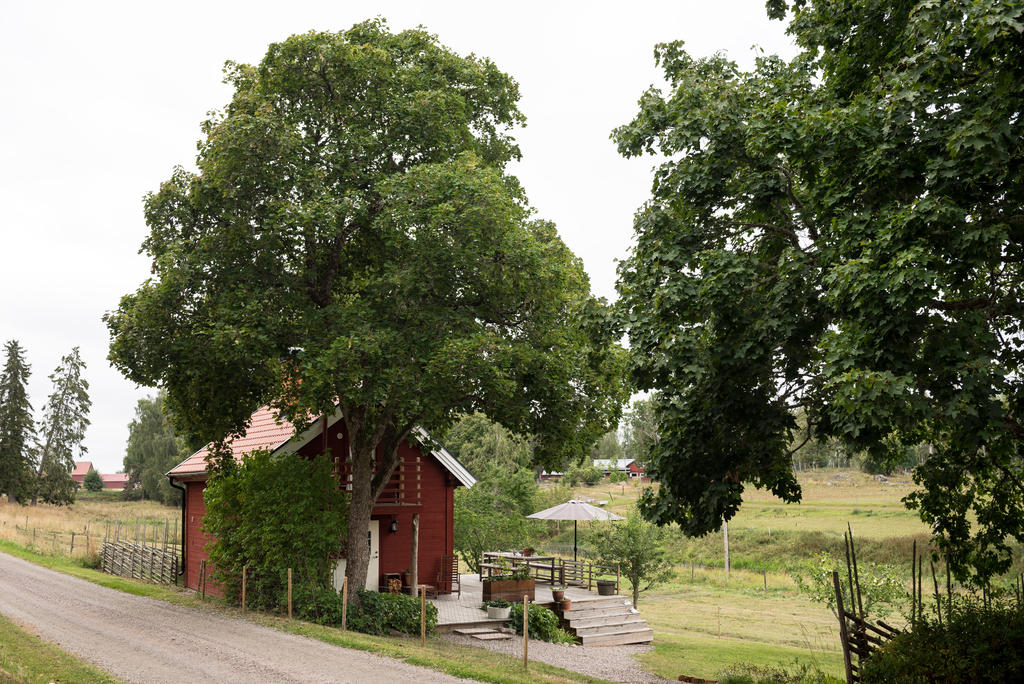 Framsida.