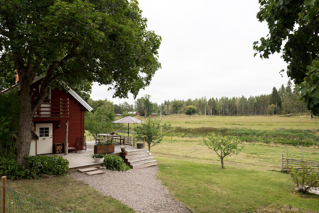 Trädgård.