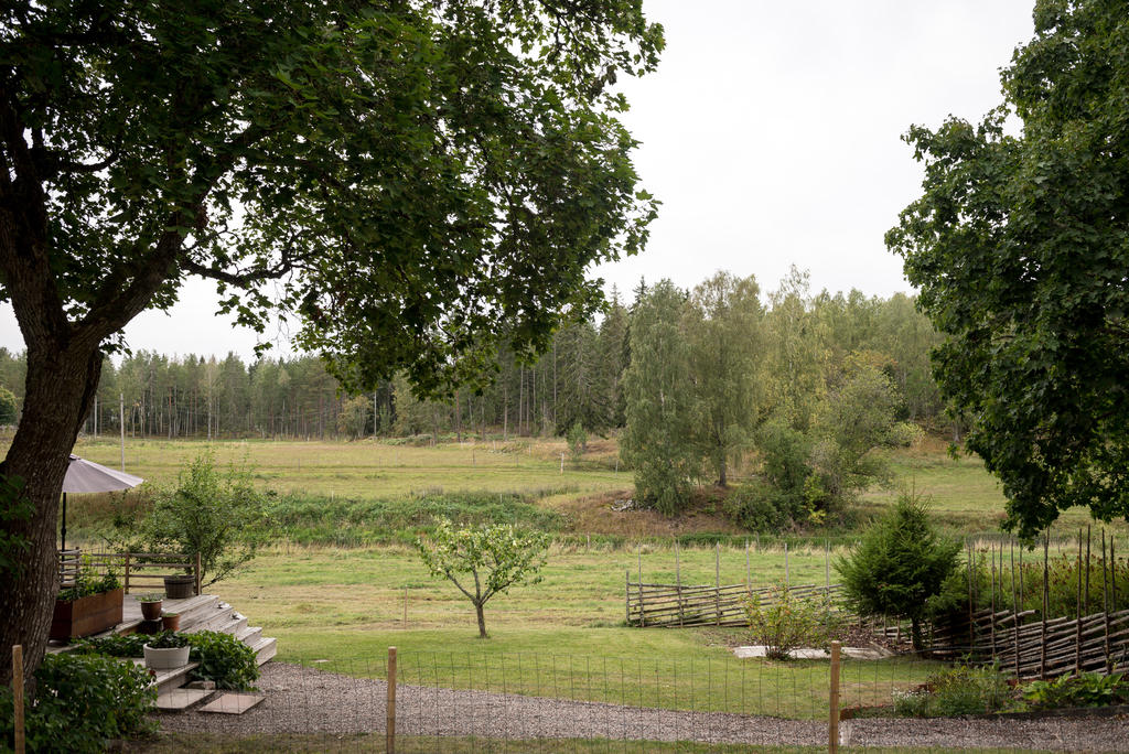 Trädgård.