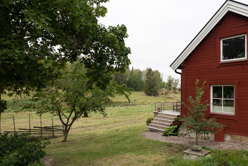 Trädgård.