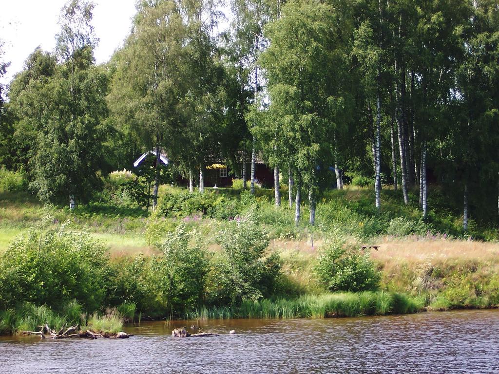 Ur säljarens album