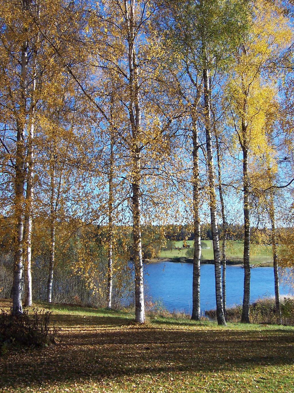 Ur säljarens album