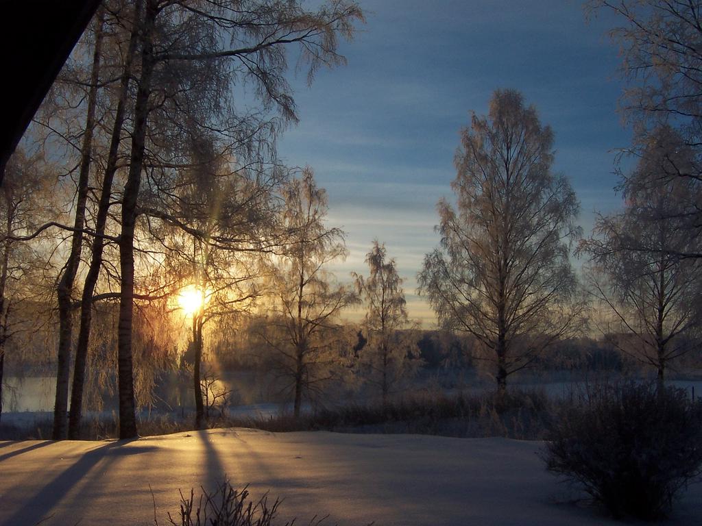 Ur säljarens album