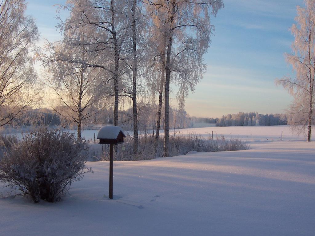 Ur säljarens album