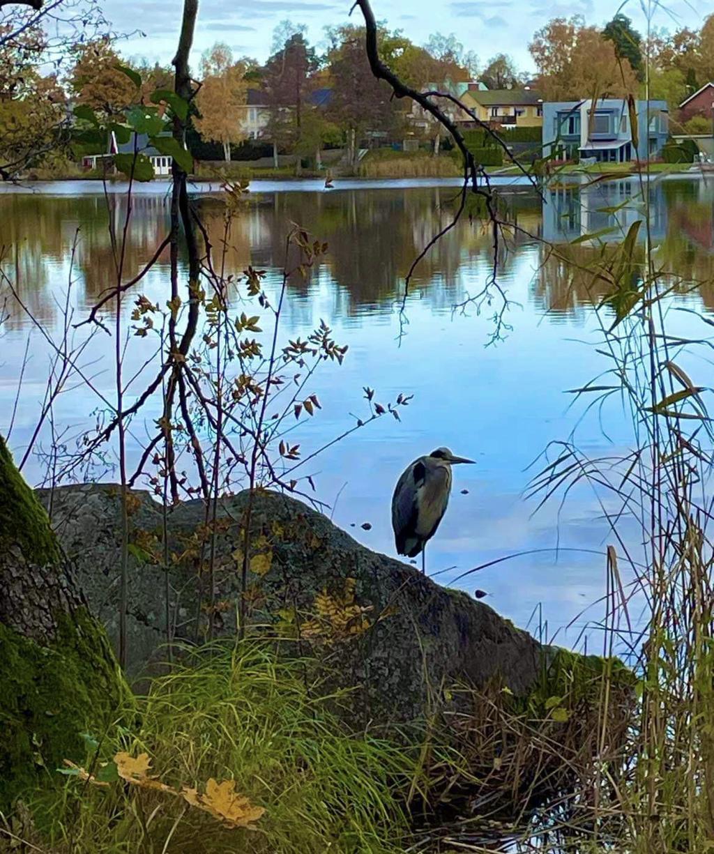 Säljarens egna bilder