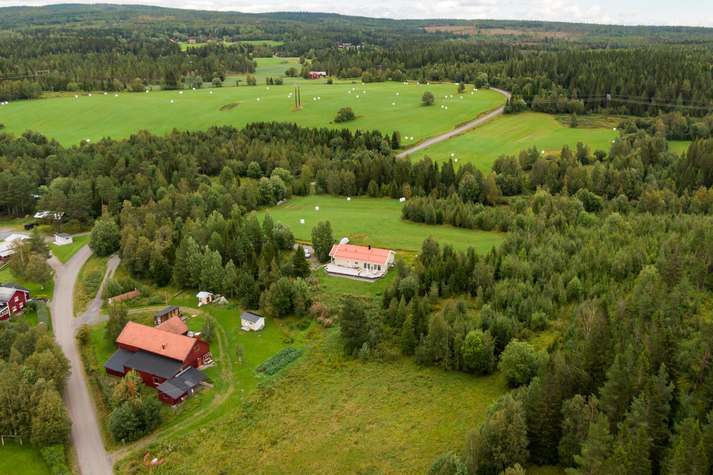 Lika fint på sommaren.