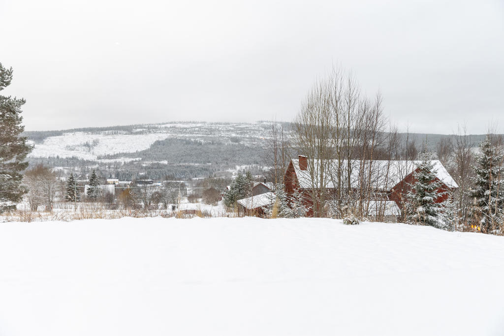 Milsvid utsikt över fjällen.