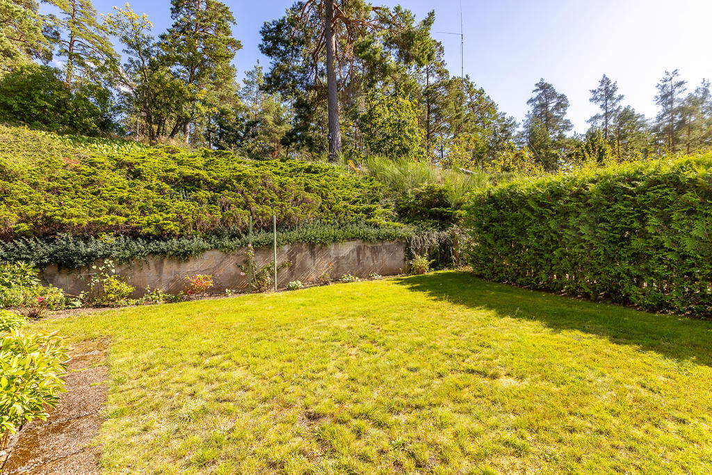 Trädgård